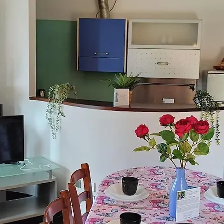 Gipsy - X 6 Garden & Magic Apartament *