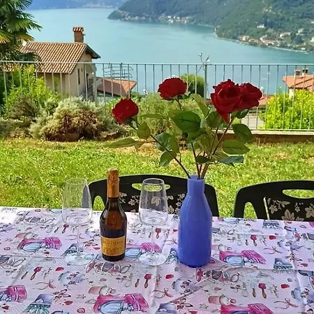 Gipsy - X 6 Garden & Magic Sulzano