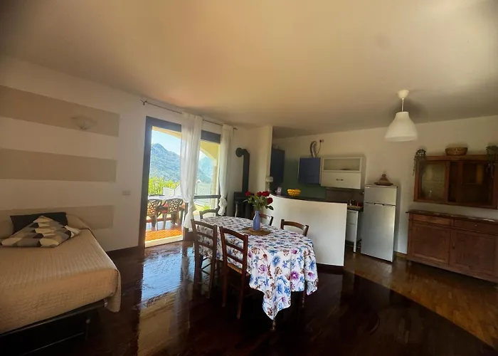 Gipsy - X 6 Garden & Magic Daire Sulzano